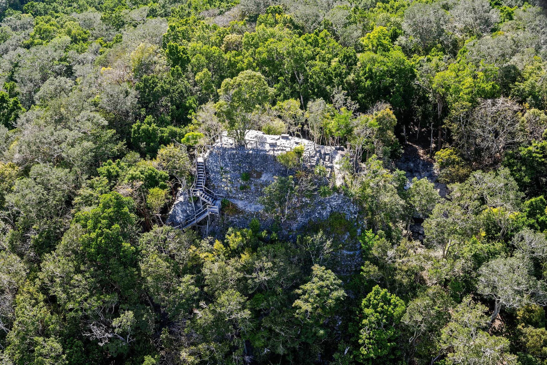 Der Maya-Tempel La Danta in El Mirador in Guatemala, eine große Steinpyramide, die über dem dichten Blätterdach des Regenwalds aufragt.