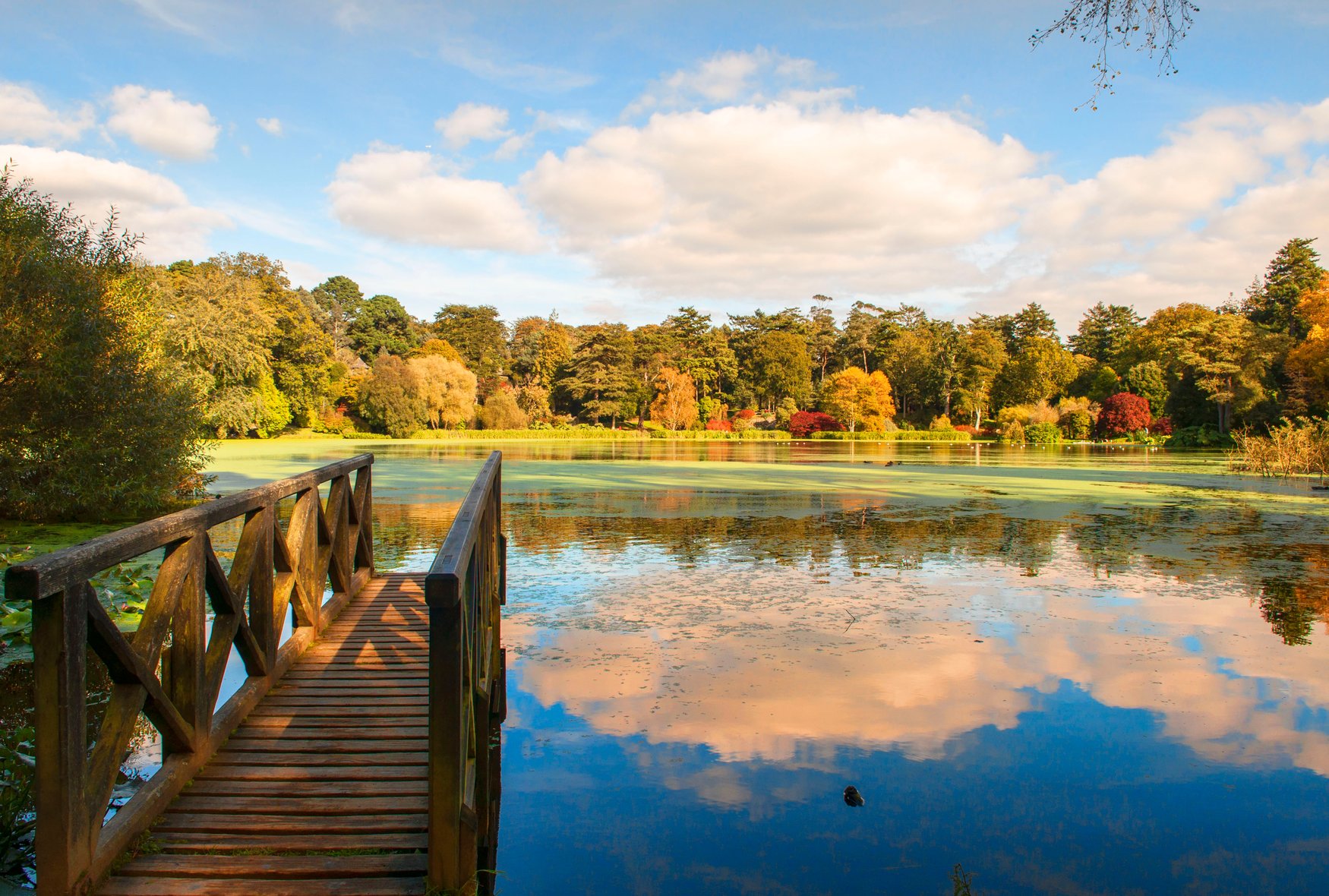 Hölzerner Steg führt an einen See im Garten von Mount Stewart, am Ufer herbstlich gefärbte Bäume und Sträucher.