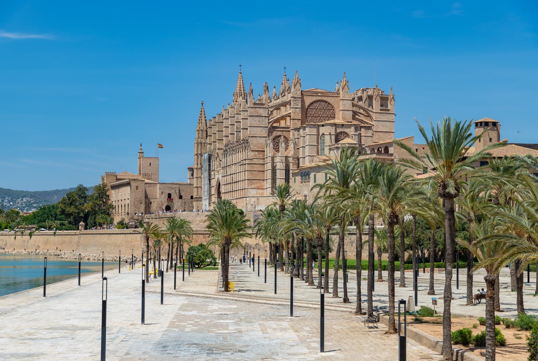 Kathedrale La Seu und der Königspalast La Almudaina in Palma de Mallorca, davor die Promenade des Parc de la Mar mit Palmen und dem Wasserbecken.