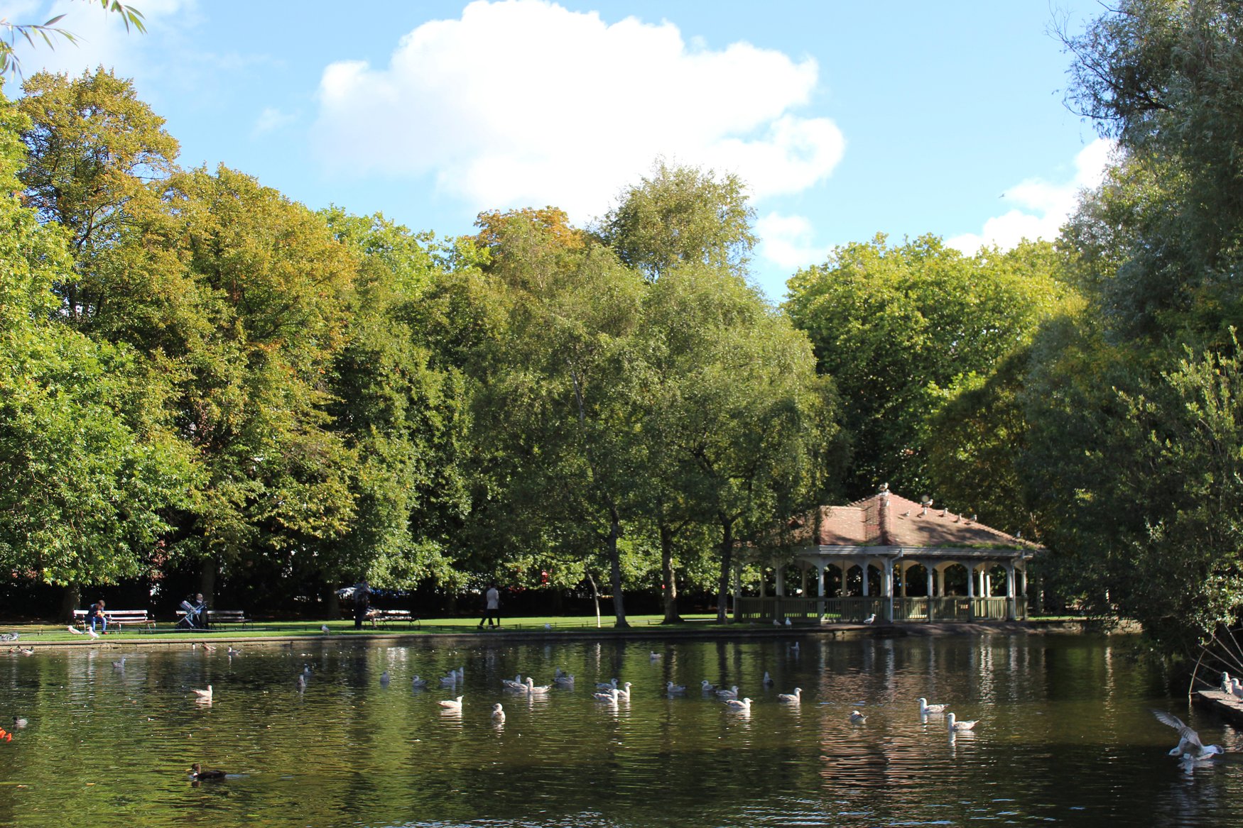 Weißer Pavillon am Teich im Dubliner Park St Stephen's Green, auf dem Wasser schwimmen Möwen und Enten.