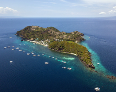 Apo Island, Negros, Philippinen