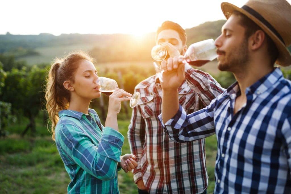 Zwei Männer und eine Frau trinken ein Glas Wein im Weingarten