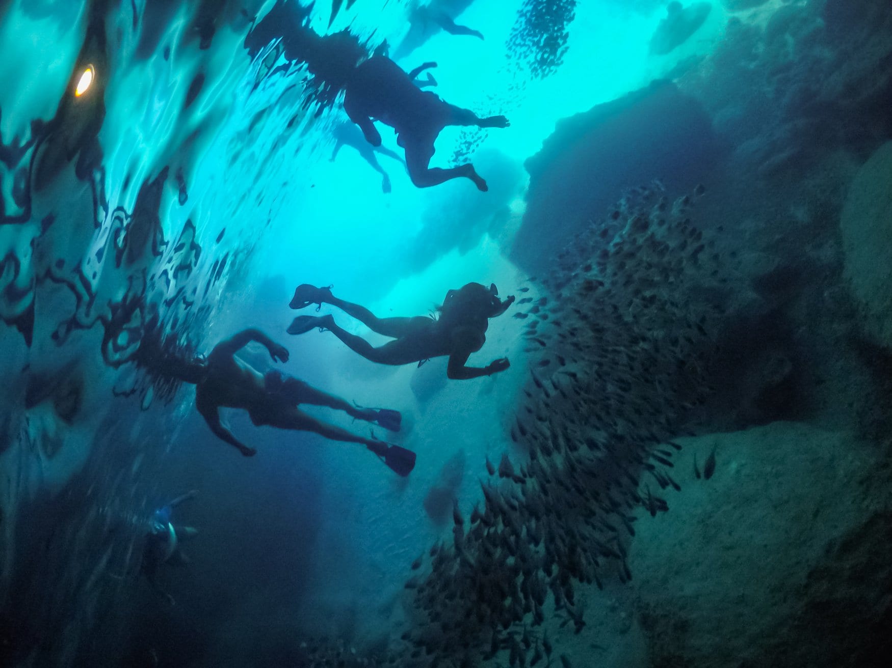Blick von unten auf mehrere Schnorchler, die sich als Silhouetten gegen die spiegelnde Wasseroberfläche abzeichnen. Rechts steht ein dichter Schwarm kleiner Fische vor einer Felswand.