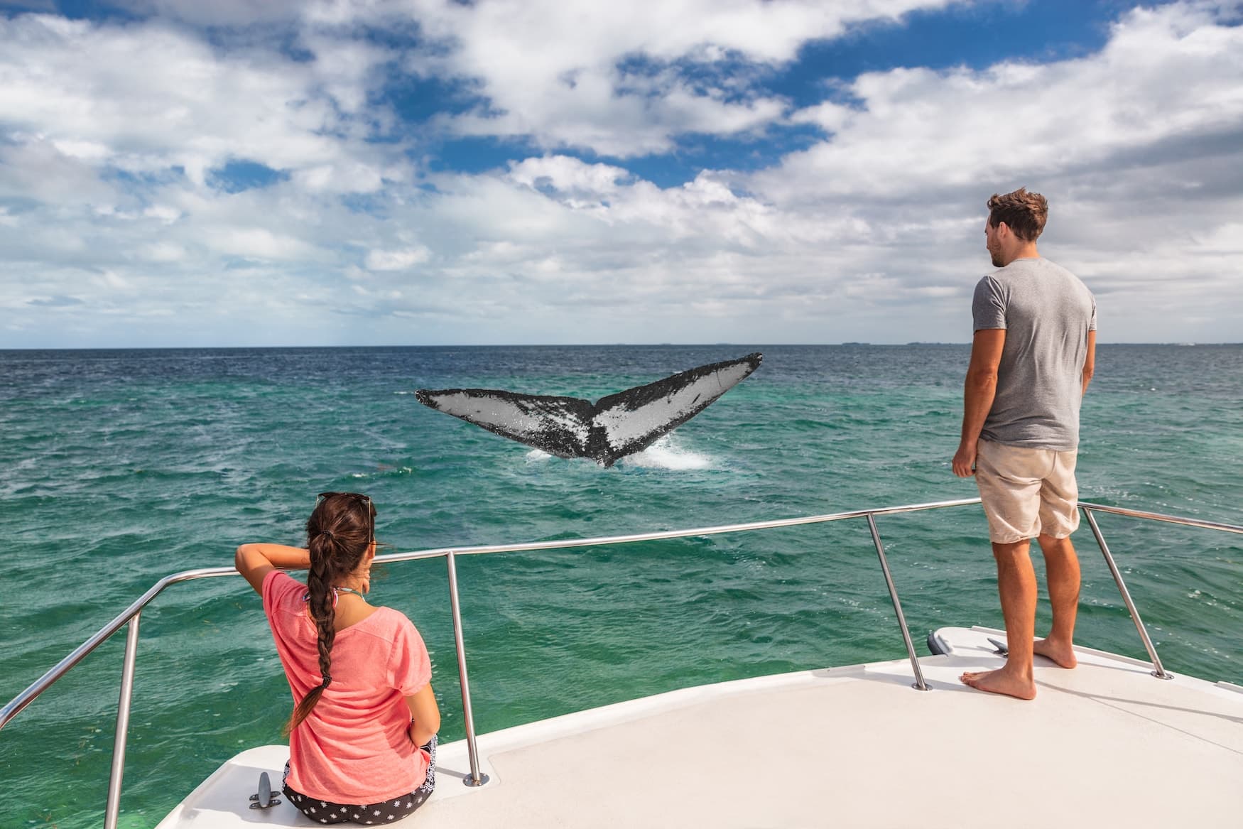 Whale watching auf den Azoren