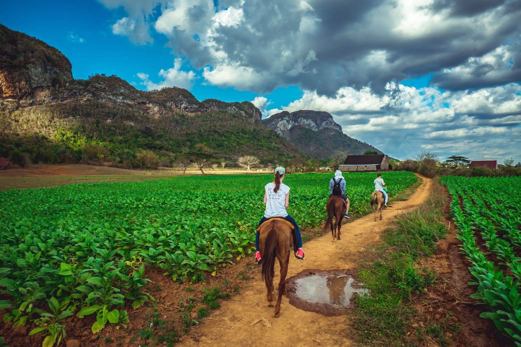 Touristen auf Pferden unterwegs in Kuba