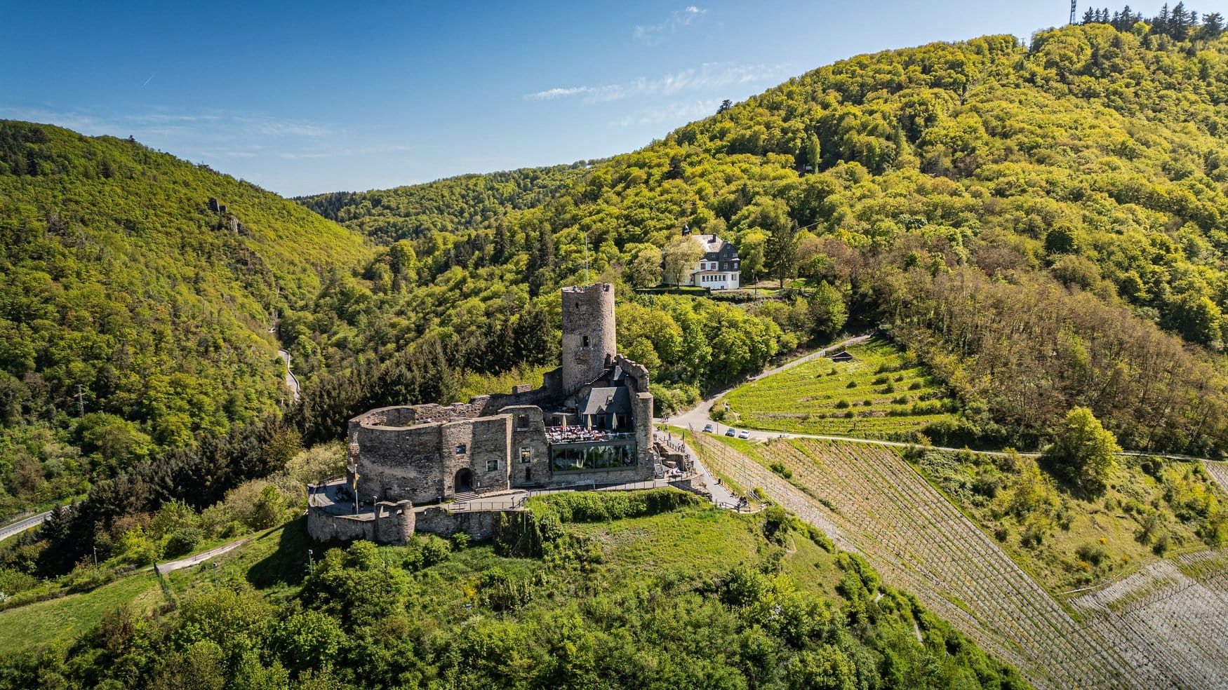 Luftaufnahme der Burgruine Landshut oberhalb von Bernkastel mit rundem Bergfried und Terrasse. Rechts ziehen sich Rebzeilen den Hang hinunter, ringsum steht Laubwald.