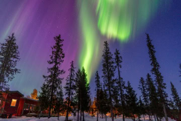 Grünes und violettes Polarlicht über hohen Fichten bei Kiruna, links ein rotes Holzhaus im Schnee.