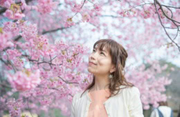 Frau bei der Kirschblüte in Japan