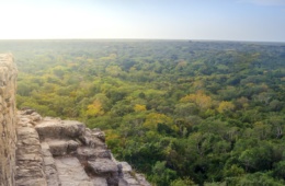 Blick von der Coba Pyramide in Yucatan, mexiko