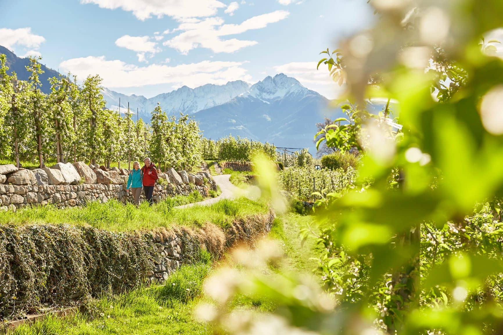 Wanderer im Meraner Land