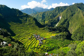 Unesco-Welterbestätten auf den Philippinen: Reisterrassen in Batad