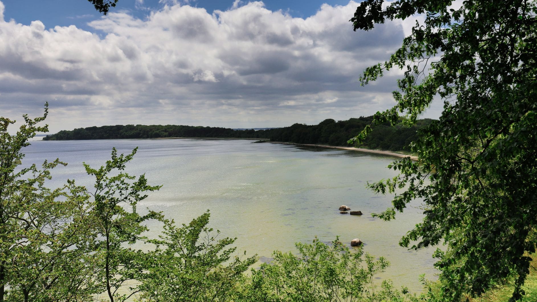 Natur auf der Insel Vilm