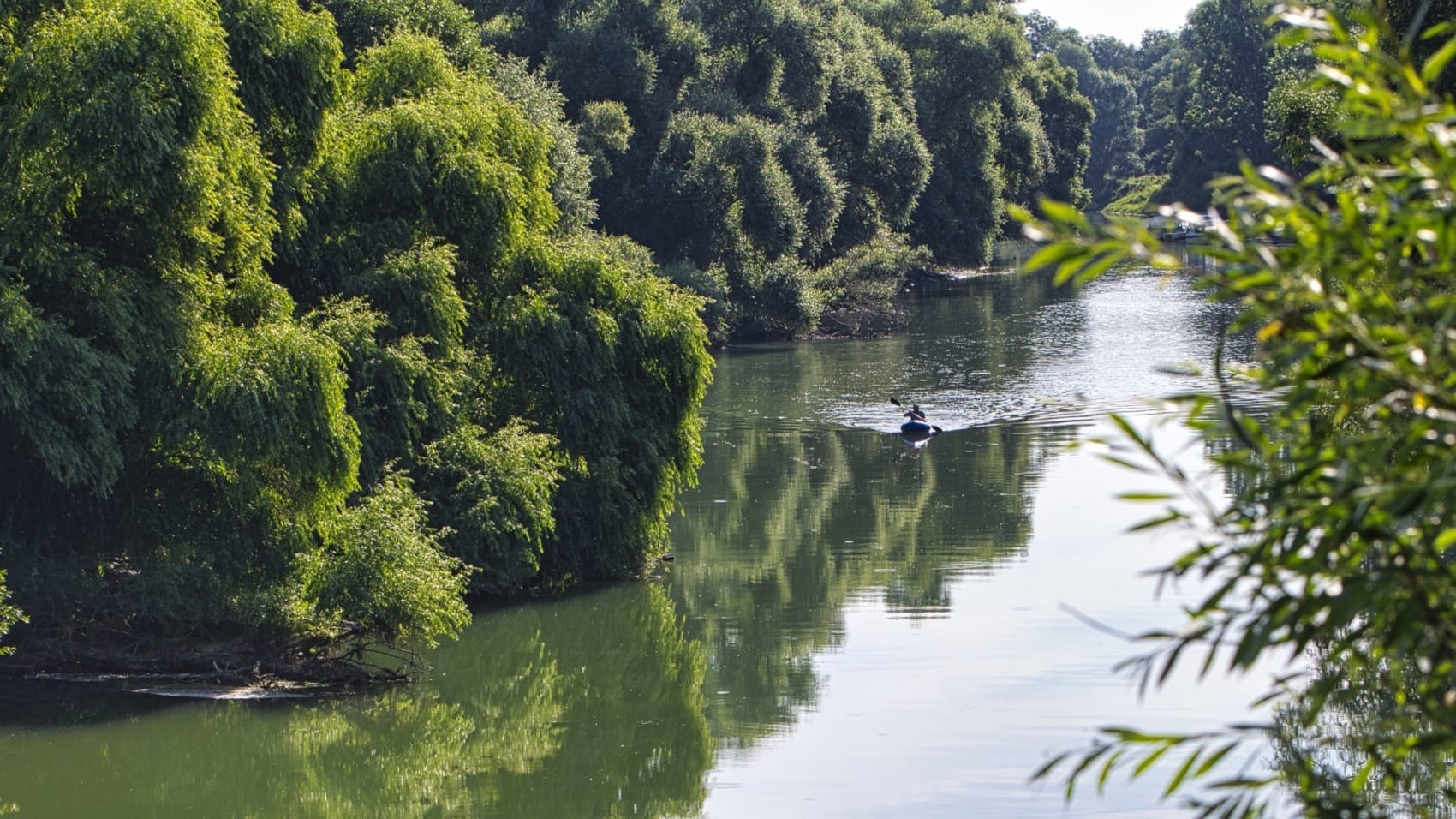 Insel Kühkopf auf dem Rhein in Hessen