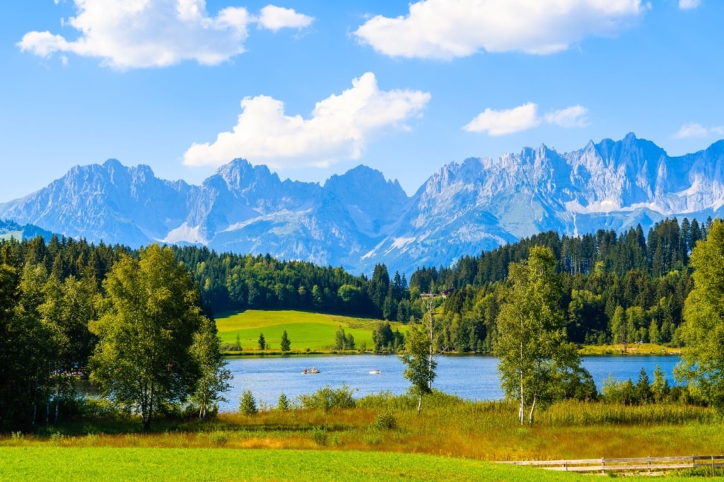 Grüne Wiese auf den Alpen am Schwarzsee am sonnigen schönen Sommertag bei Kitzbühel