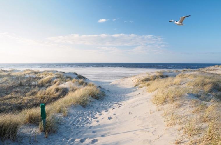Strand, Dünen und Nordsee