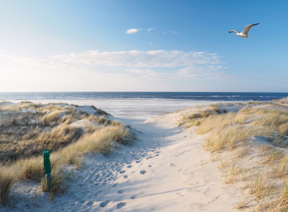 Die Schönsten Naturpfade An Der Nordseeküste - Reisen EXCLUSIV