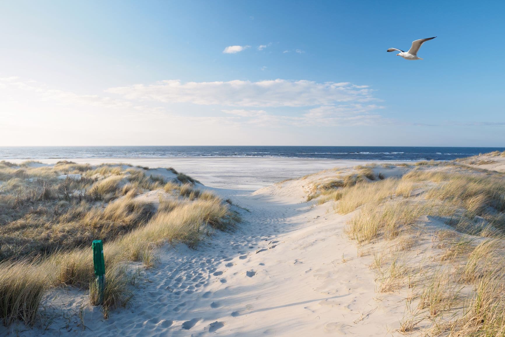 Die Sch nsten Naturpfade An Der Nordseek ste Reisen EXCLUSIV Die Sch nsten Naturpfade An Der Nordseek ste Reisen EXCLUSIV