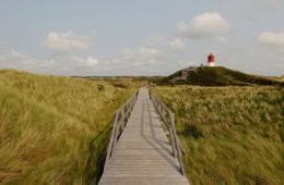 Holzsteg führt durch die Dünen zum Norddorf Leit- und Quermarkenfeuer auf der Nordseeinsel Amrum.