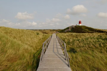 Holzsteg führt durch die Dünen zum Norddorf Leit- und Quermarkenfeuer auf der Nordseeinsel Amrum.