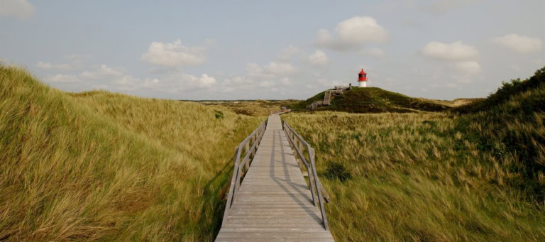 Malerisch! Diese Naturpfade zeigen die Nordsee von ihrer schönsten Seite