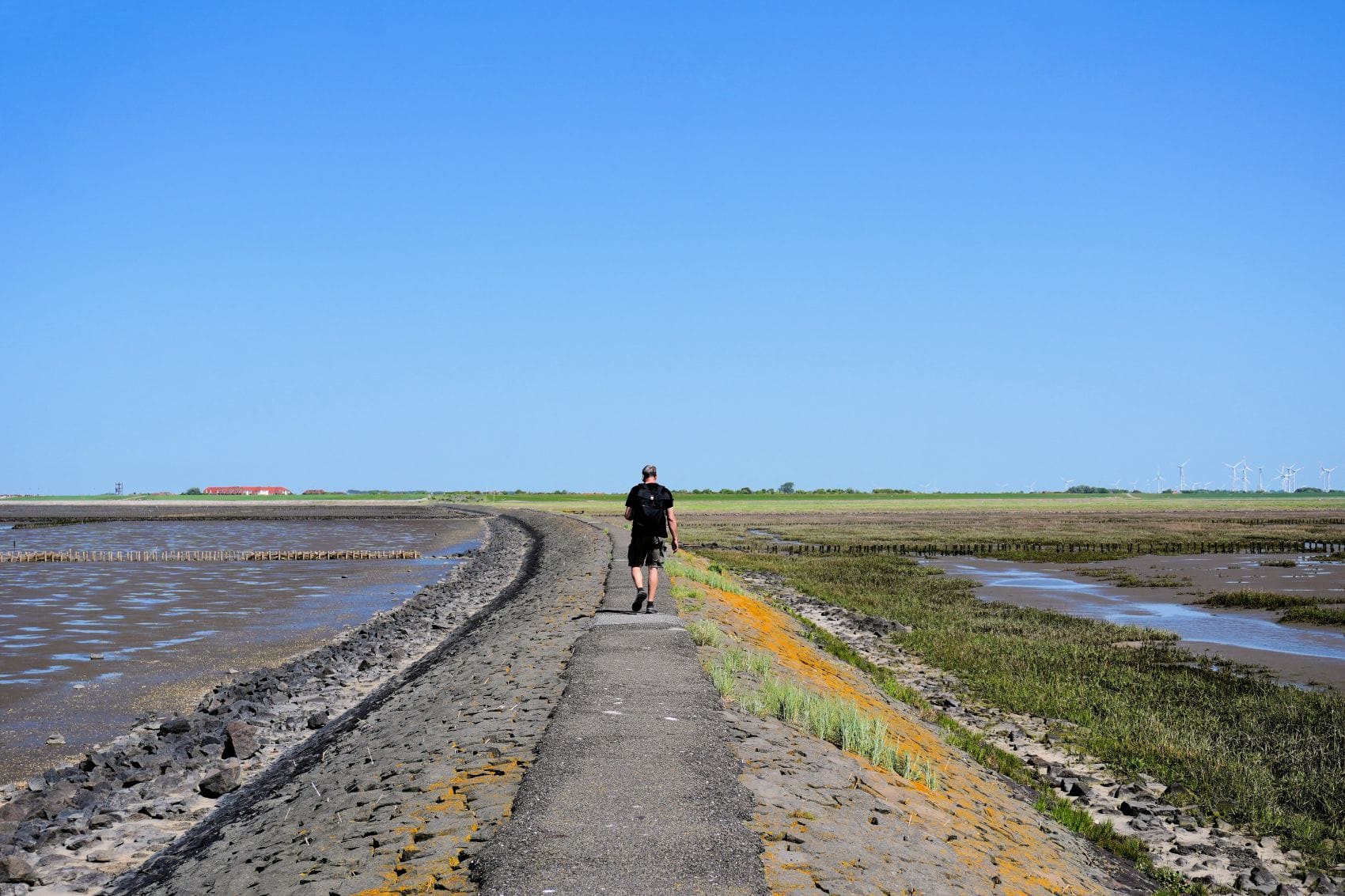 Wanderer auf dem Trischendamm in Friedrichskoog mit Blick über das Wattenmeer.