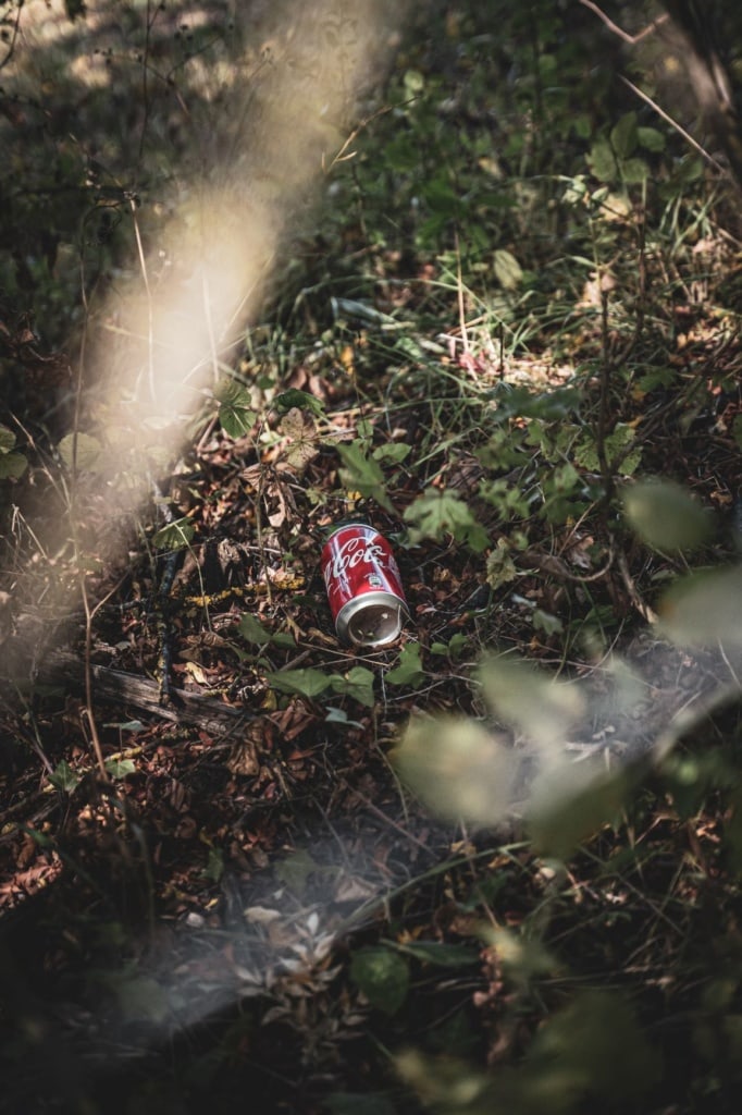 Müllproblem: Dose Cola im Wald