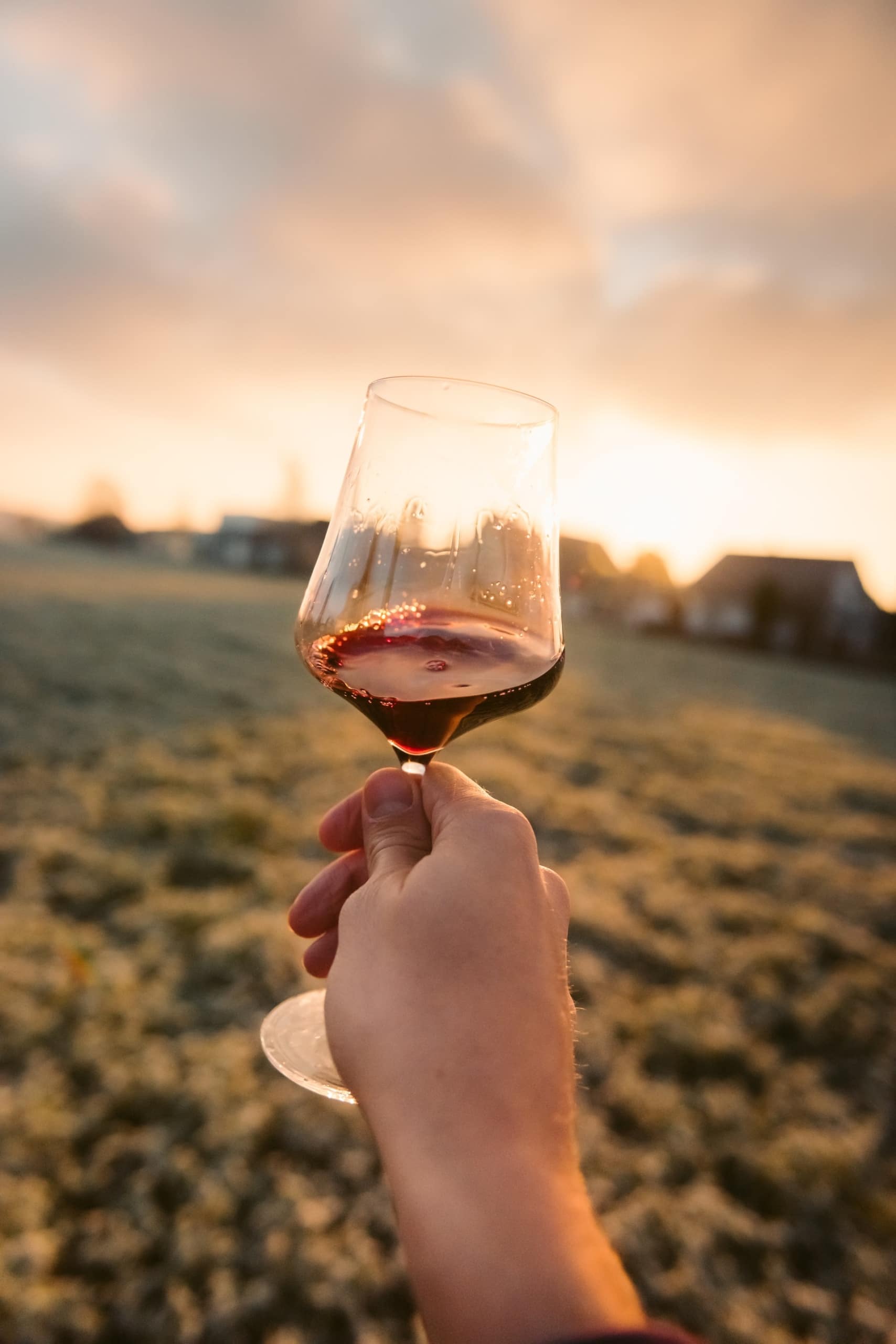 Person hält Glas Rotwein auf einer Wiese in die Höhe