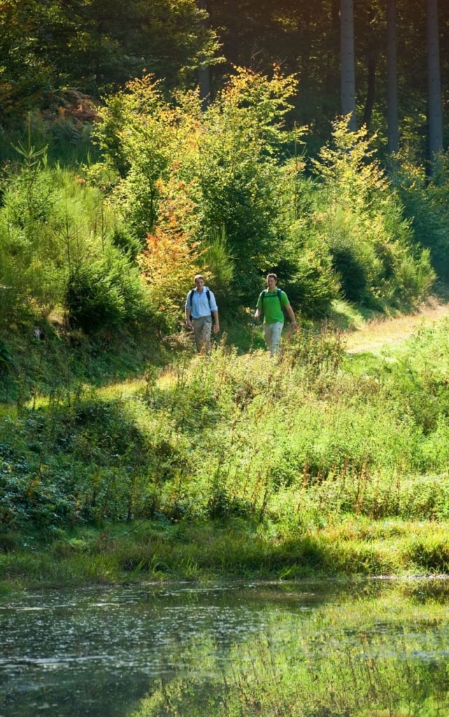 Urlaub in der Pfalz: Männer wandern am Kieselweiher entlang des Pfälzer Waldpfads