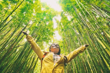 Touristenwanderer im Bambuswald