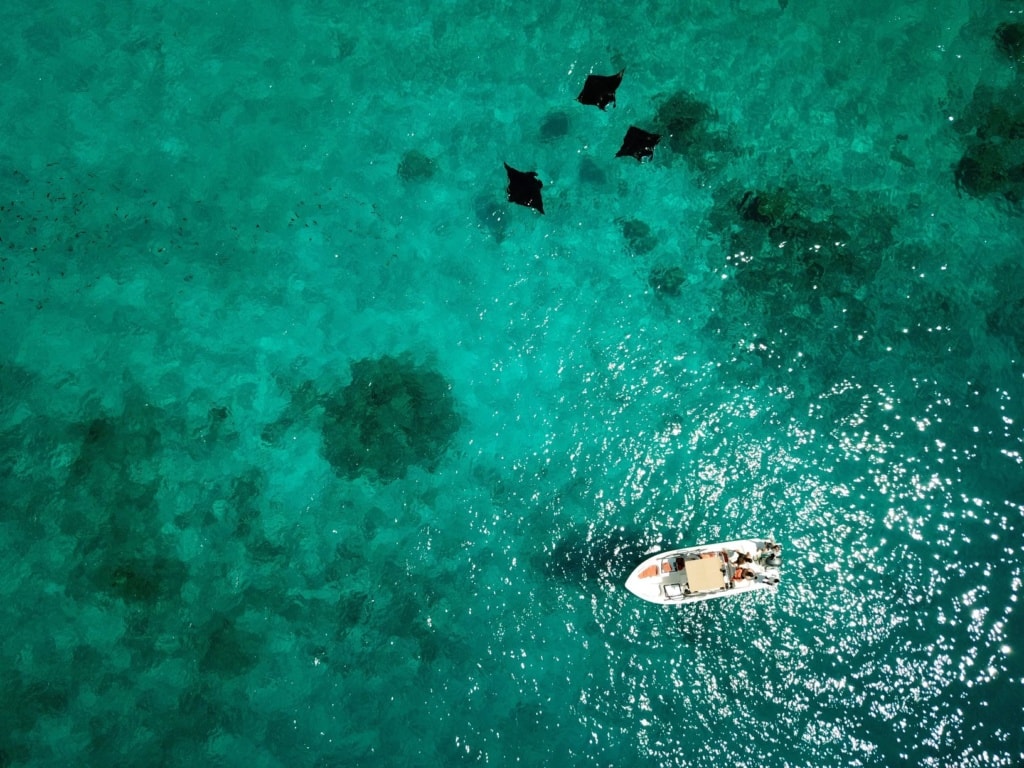 Boot und Mantas auf den Malediven aus der Luft fotografiert