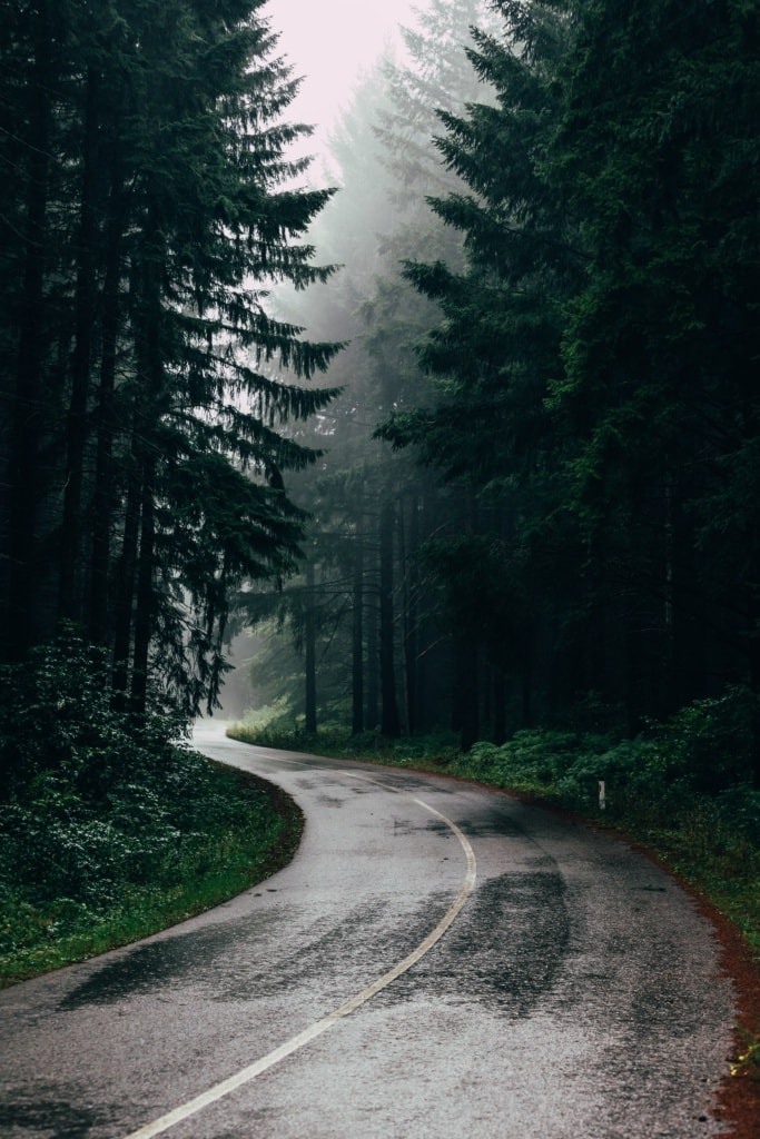 Straße führt durch Wald, Regen