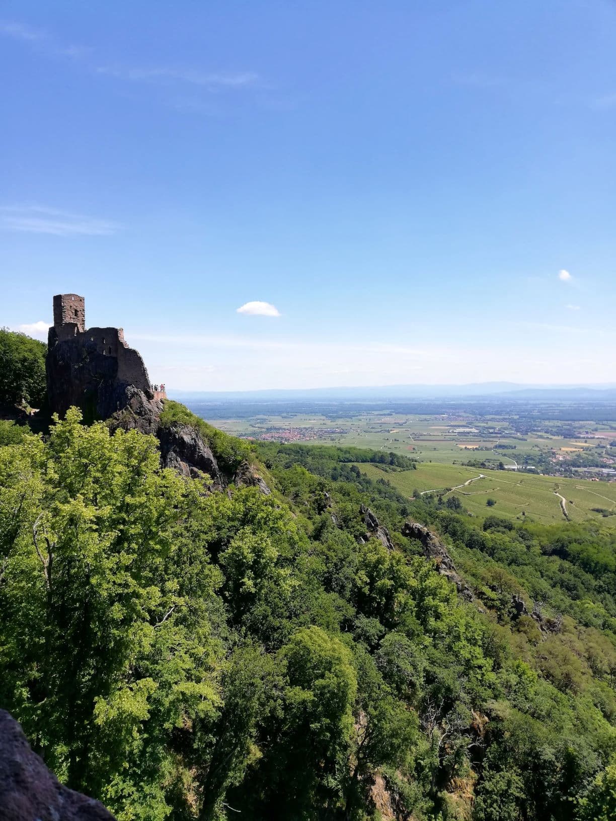 Burg bei Ribeauville im Elsass