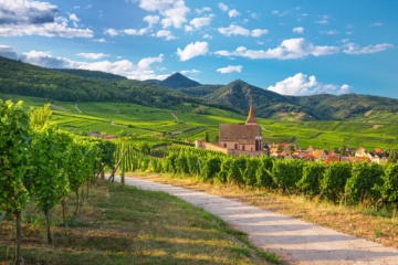 Panoramasicht auf die Kirche und das Weindorf Hunawihr inmitten der Weinberge im Elsass, Frankreich R