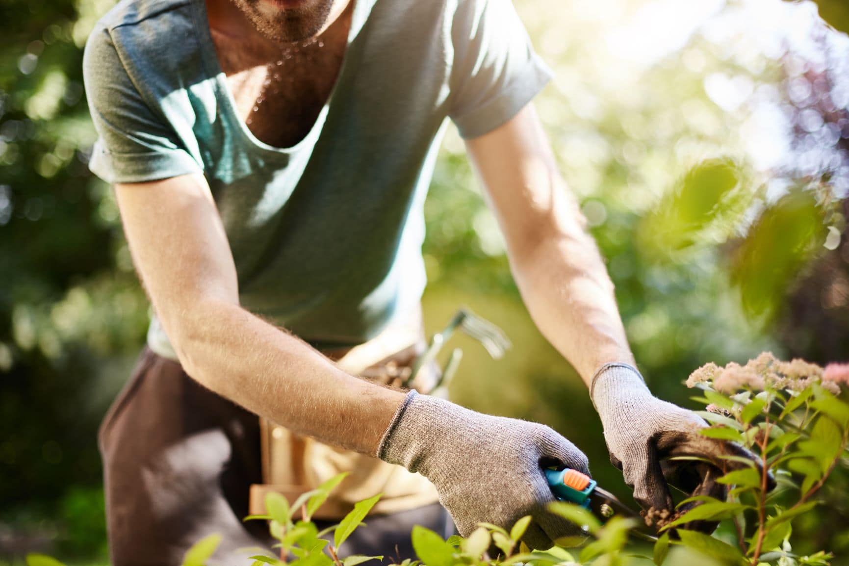 Mann arbeitet im Garten und schneidet Pflanzen