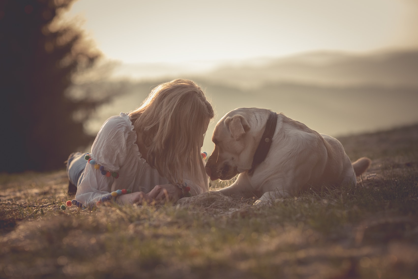 Eine Frau und ein großer, weißer Hund liegen auf einer Anhöhe im Gras
