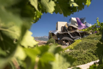 Architekturhotel Marqués de Riscal von Frank Gehry mit geschwungener Titanfassade zwischen den Weinbergen der Rioja