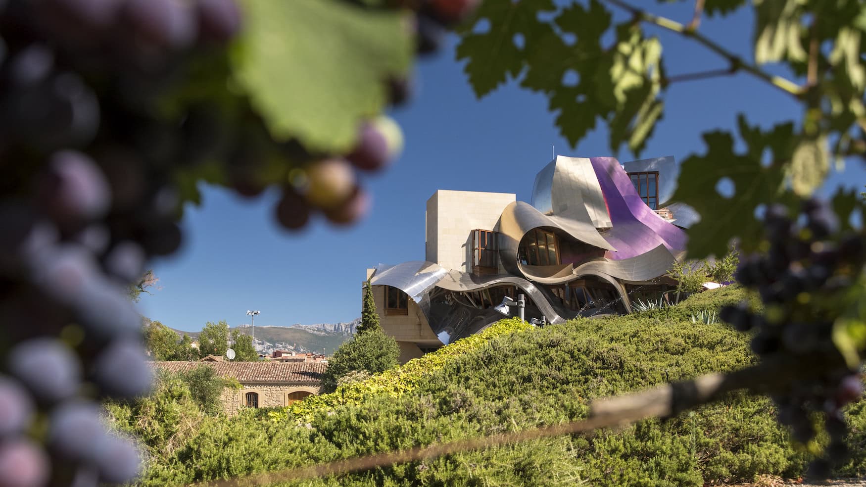 Hotel Marqués de Riscal zwischen den Weinbergen der Rioja, gerahmt von Weinlaub