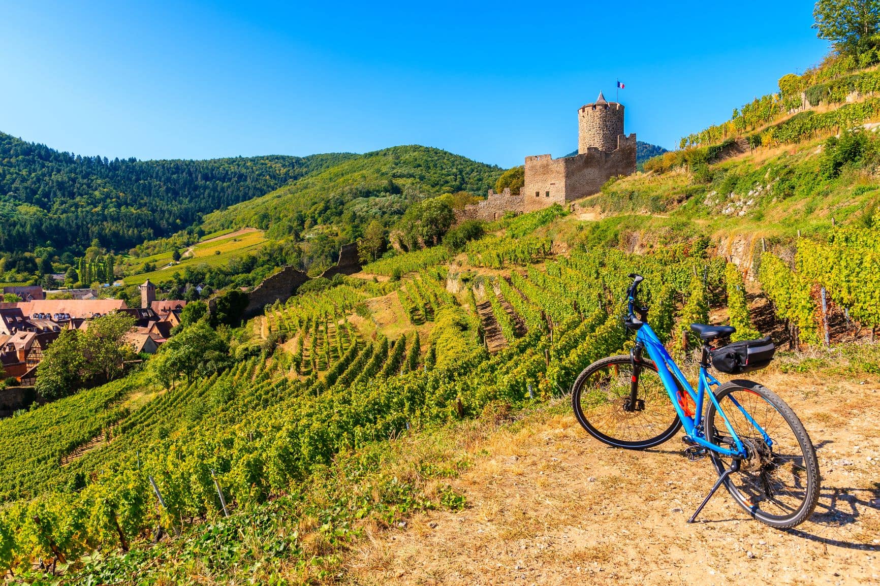 Blaues Fahrrad steht in einem Weinanbaugebiet im Elsass