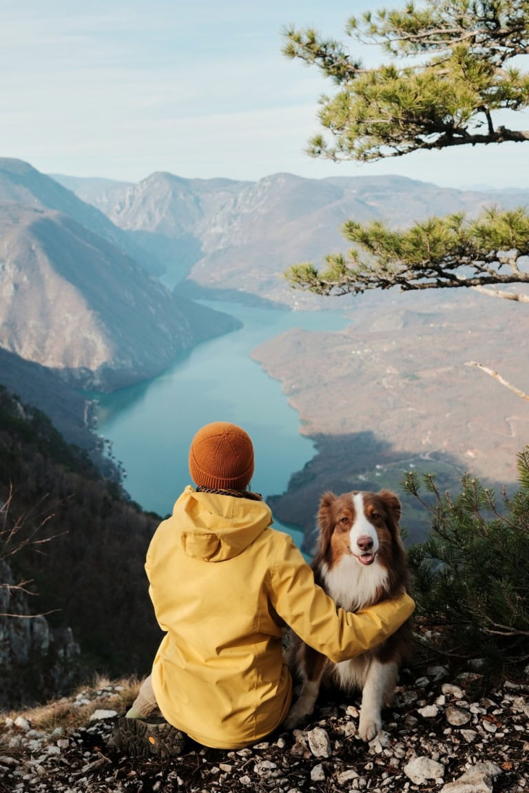 Urlaub mit Hund: So wird die Reise mit dem Vierbeiner ein voller Erfolg