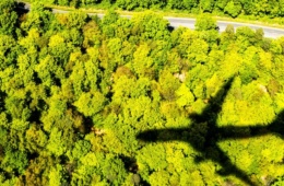 Schatten eines Flugzeuges, das über ein Waldgebiet fliegt
