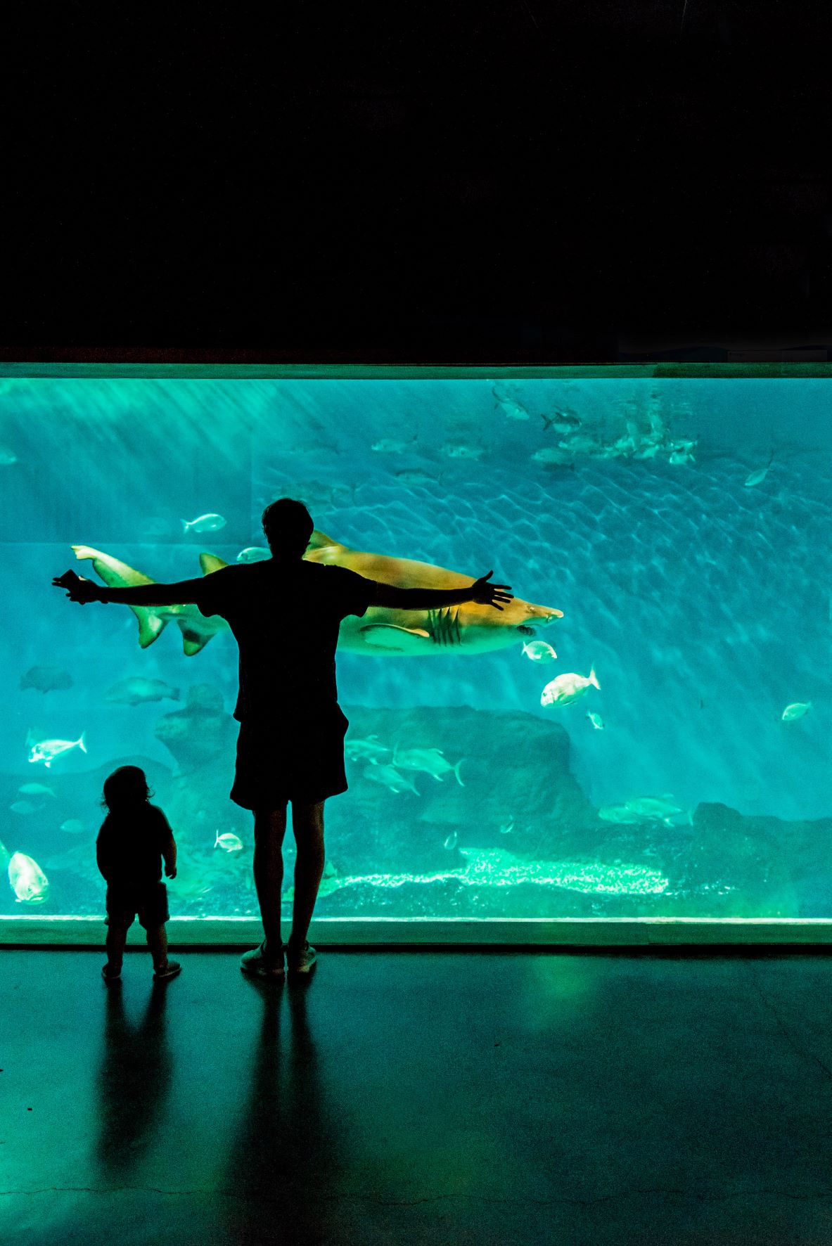 Mann und Kind im Aquarium Sevilla 