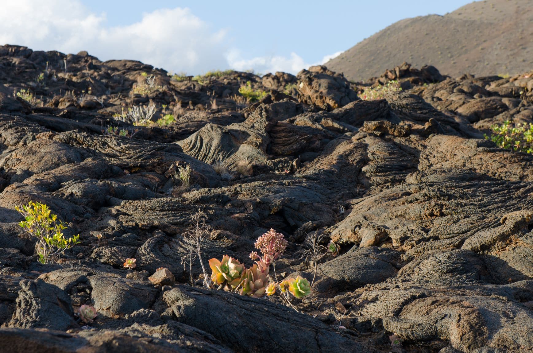 Los Lajiales auf El Hierro