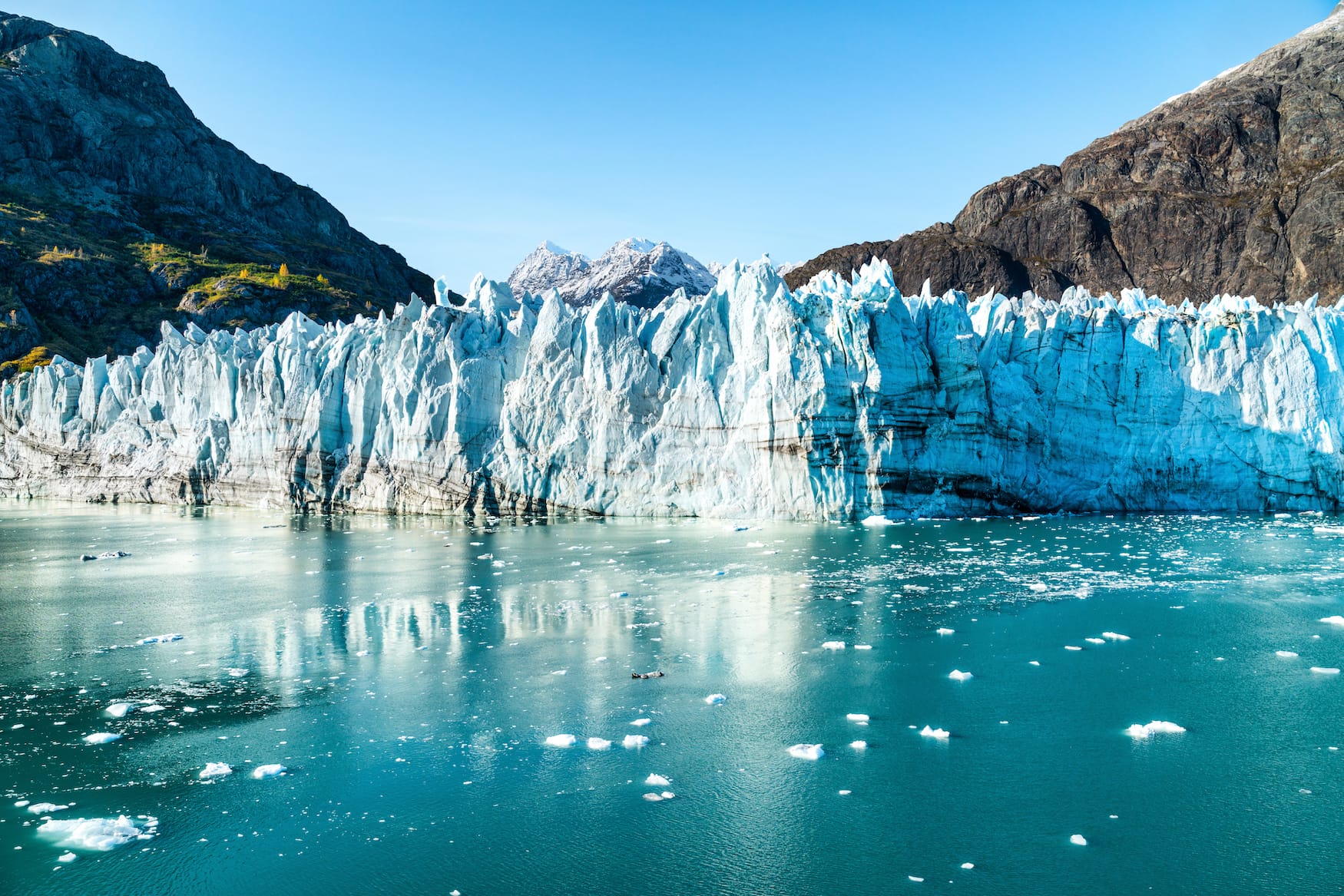 Gletscher in der Alaska Glacier Bay