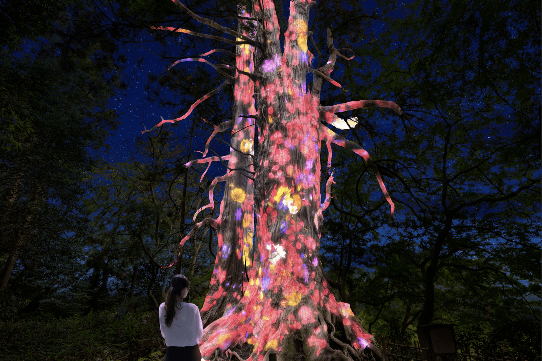 Der digitalisierte Kairakuen Garden verwandelt den Garten und seine 3.000 Pflaumenblütenbäume in einen interaktiven Kunstraum