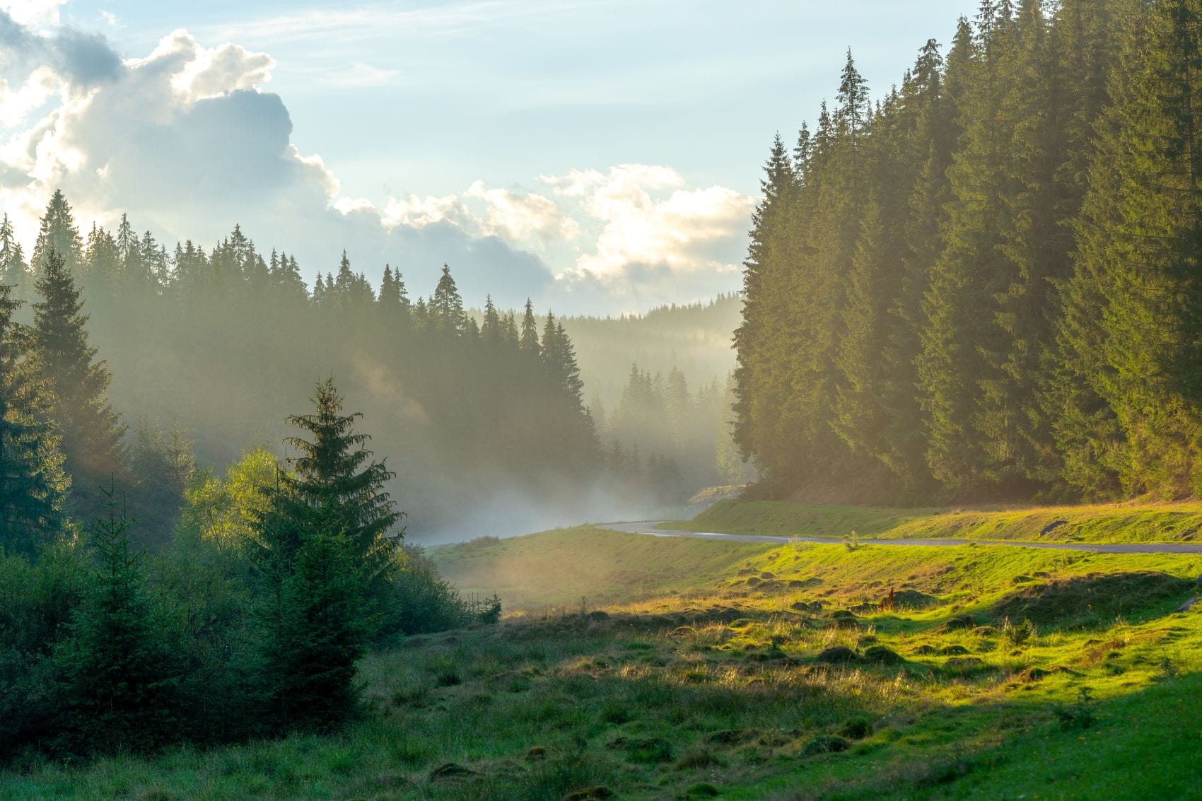 Wanderweg in Waldlandschaft in Horehronie, Slowakei 