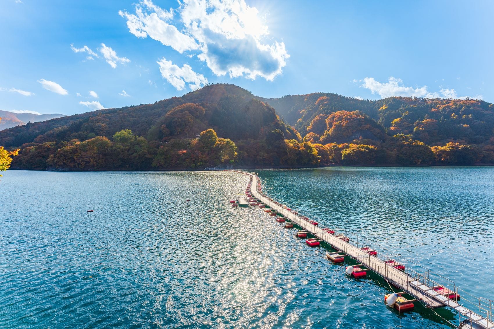 Tokio-Ab-in-die-Natur