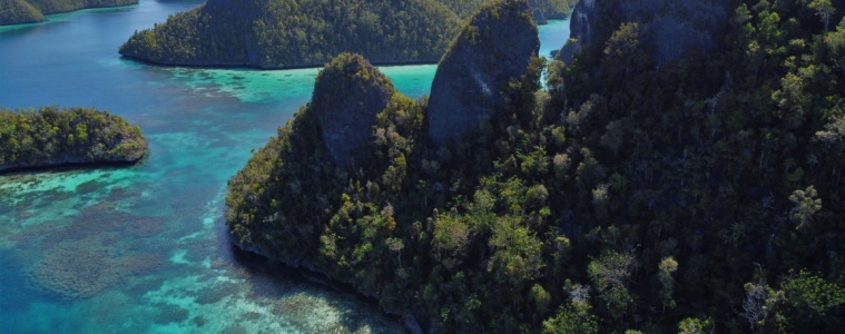 Ein Naturschauspiel der besonderen Art erwartet Besucher in Raja Ampat in West-Papua.