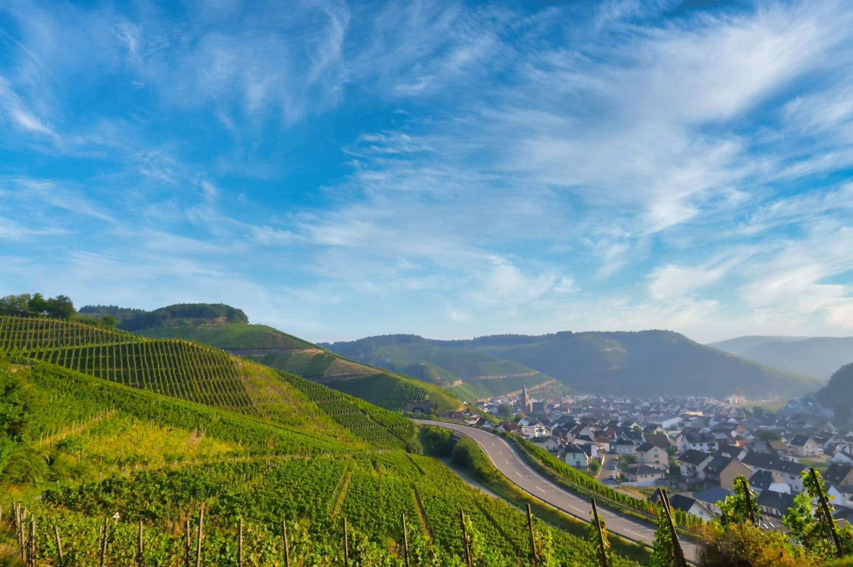 Blick ins Ahrtal über Weinberge, unter blauem Himmel