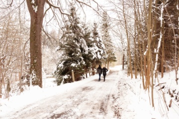 Spaziergänger im Wald im Winter