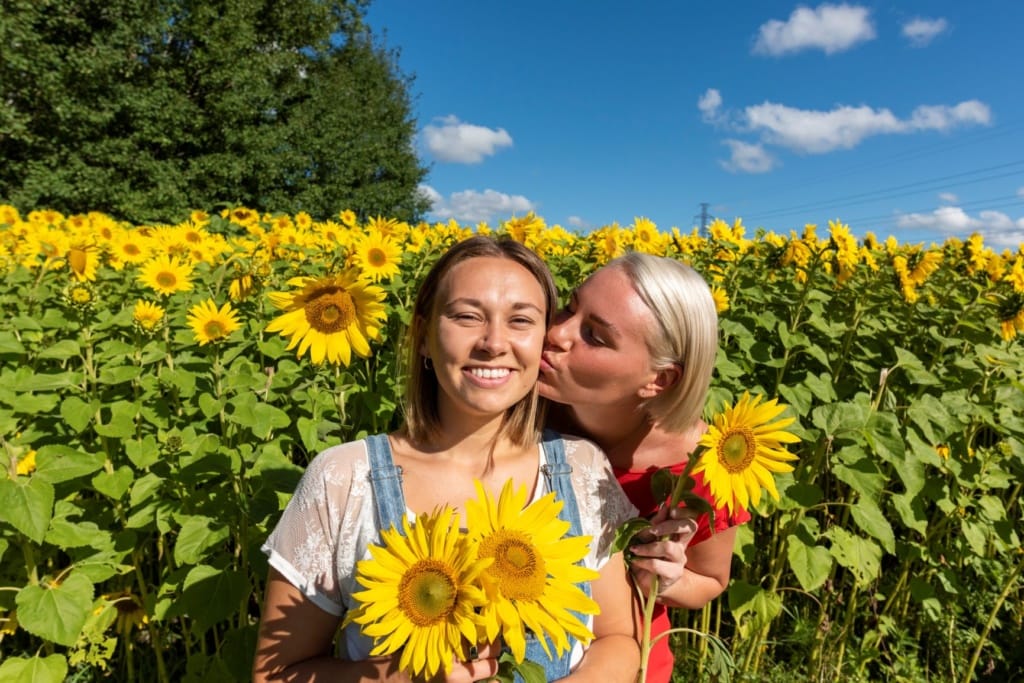 Frau küsst Frau in Sonnenblumen-Feld 